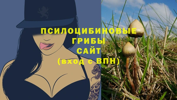 винт Абинск