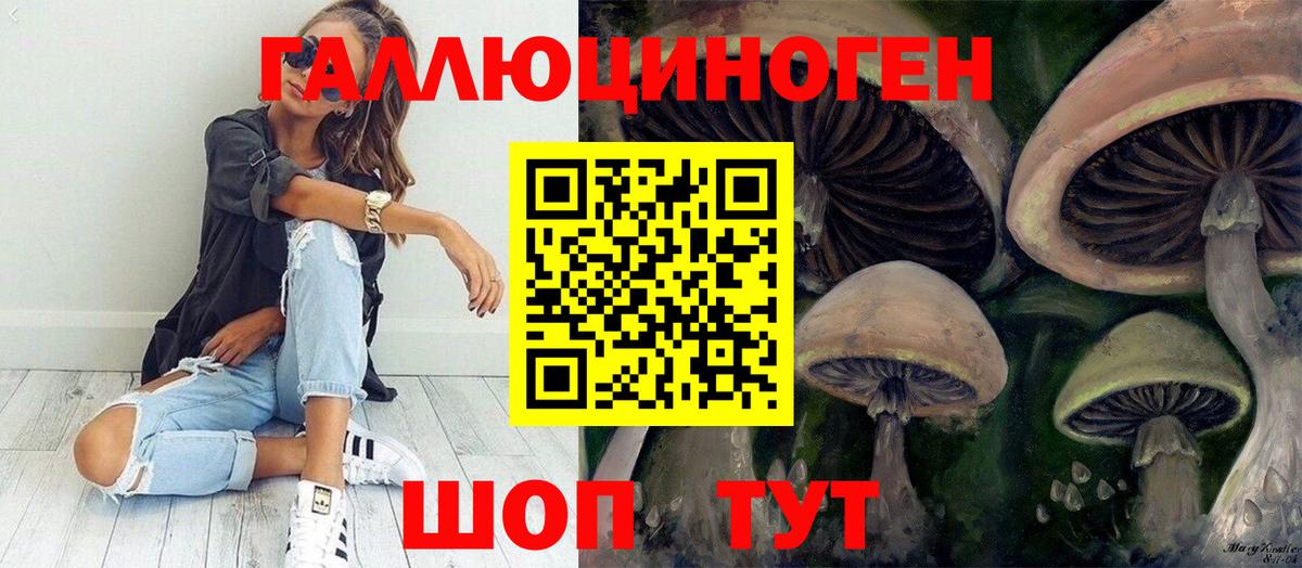что такое   Вход с VPN  Сертолово  Псилоцибиновые грибы мухоморы 