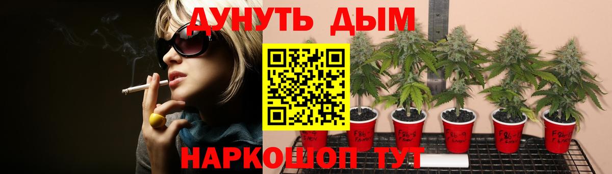 Бошки марихуана сатива Сертолово